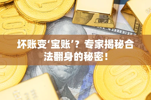 济南坏账变‘宝账’？专家揭秘合法翻身的秘密！