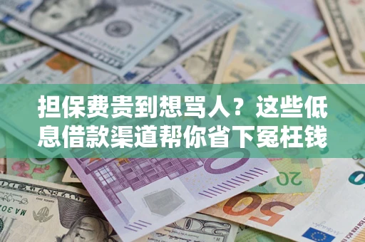 济南担保费贵到想骂人？这些低息借款渠道帮你省下冤枉钱