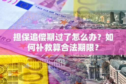 济南担保追偿期过了怎么办？如何补救算合法期限？