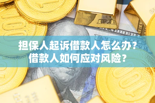 济南担保人起诉借款人怎么办？借款人如何应对风险？
