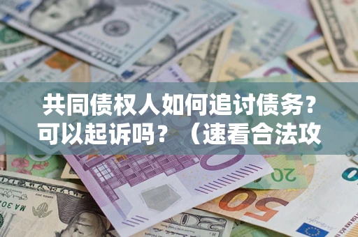 济南共同债权人如何追讨债务？可以起诉吗？（速看合法攻略）