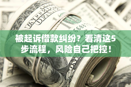 济南被起诉借款纠纷？看清这5步流程，风险自己把控！